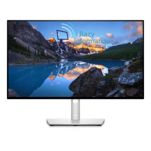 DELL UltraSharp U2424HE